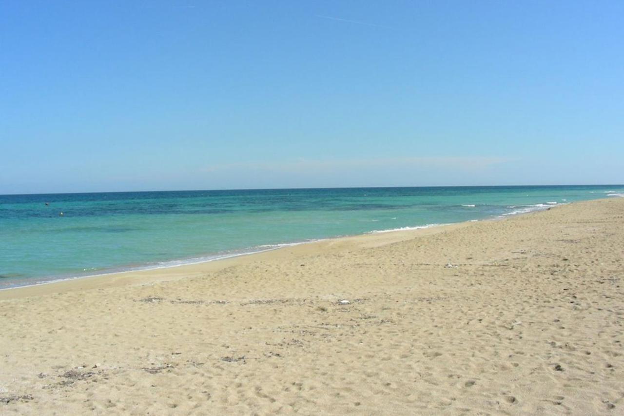 מונופולי Gallery Art - Sea View מראה חיצוני תמונה